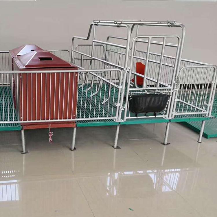 自动化养猪设备复合母猪产床好处