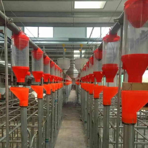 福建养猪料线