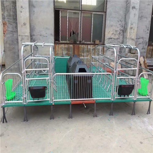 养猪设备保育床 母猪产床好处