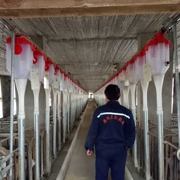福建养猪料线